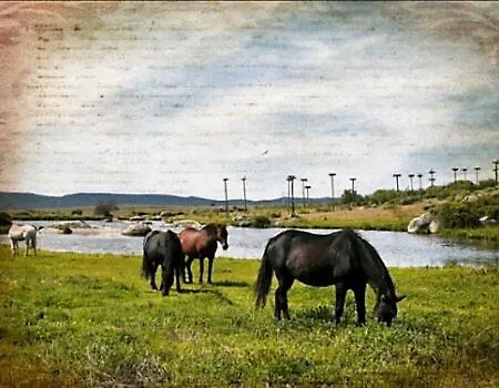 卡萨乡间玛丽亚旅馆 乡村民宿 Malpartida de Cáceres